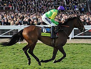 British Steeplechaser Kauto Star Euthanized | BloodHorse.com