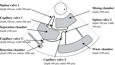 Layout Of One Of The Three Identical Devices On The Ionic Download