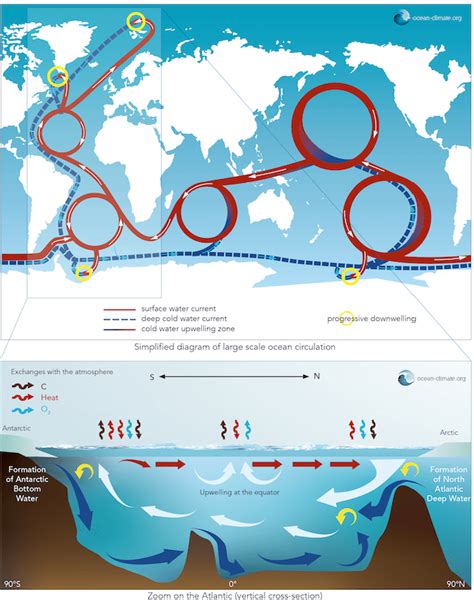 Ocean circulation - Ocean & Climate Platform