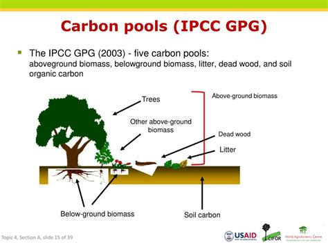 Ppt Carbon Accounting Introduction Powerpoint Presentation Free