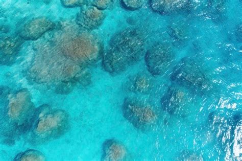 Premium AI Image | Aerial photo of beautiful tropical beach with very ...