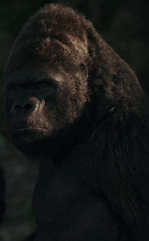 Luca (Planet of the Apes) | Heroes Wiki | FANDOM powered by Wikia