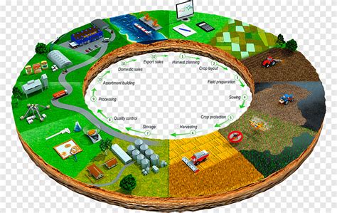 Agricultural Cycle Agriculture Production Crop Rice Field Service