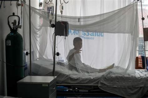 Dengue cuál es el mosquito que pica y cómo evito contagiarme