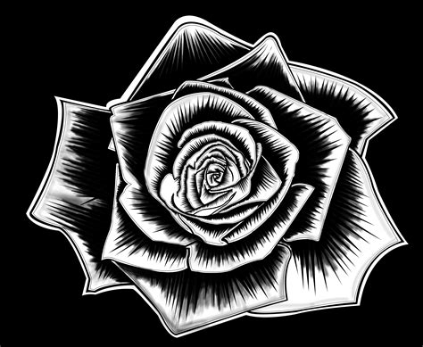 A Black Rose By Dumpstaz On Deviantart