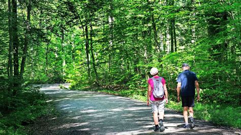 Spaziergang Im Sauhag Neuhausen Waldbaden Auf Den Spuren Der