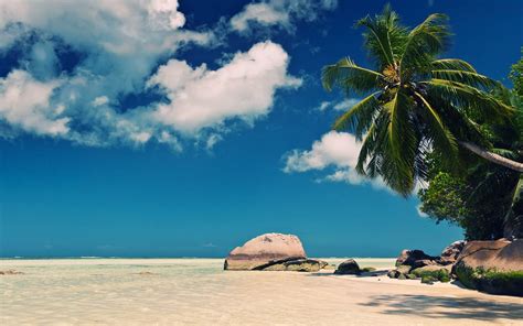 gambar pemandangan alam pantai dalchaebi