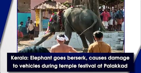 Kerala Elephant Runs Amok Damages Vehicles During Temple Festival At