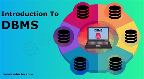 Introduction To Dbms Complete Guide To Dbms Components Apllications Hot Sex Picture