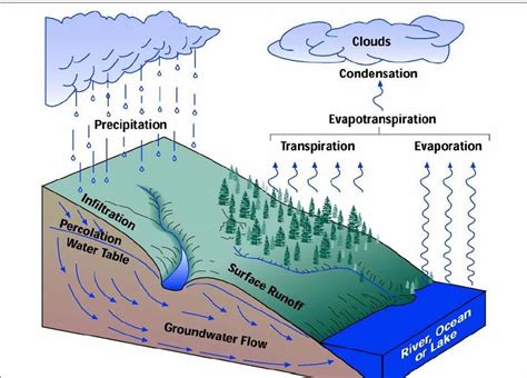 Runoff Definition Water Cycle Diagram Labeled K12 Water Cycl