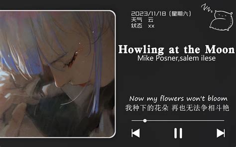 日推歌单 你发过誓会爱我直到海枯石烂 Howling at the Moon 木色夕阳 木色夕阳 哔哩哔哩视频