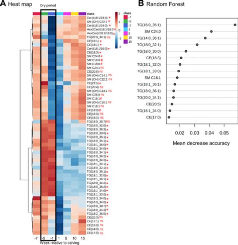 Longitudinal Characterization Of The Metabolome Of Dairy Cows