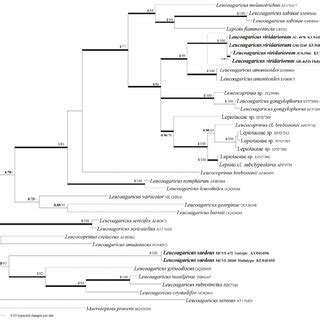 Bayesian Phylogenetic Tree Based On The Nrits Sequence Analysis Of