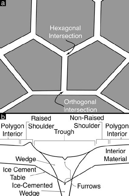 A Schematic Plan View Of Thermal Contraction Crack Polygons Polygon