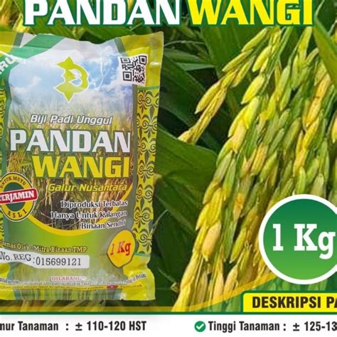 Jual Super Padi Pandan Wangi Biji Pandan Wangi Biji Padi Pandan Wangi