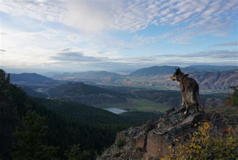 Dog Friendly Road Trip British Columbia: Lillooet, Kamloops & Clearwater