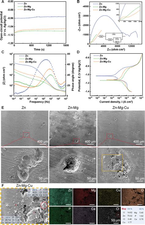 Electrochemical Corrosion Behavior Of The Zn Alloys A Ocp Variation