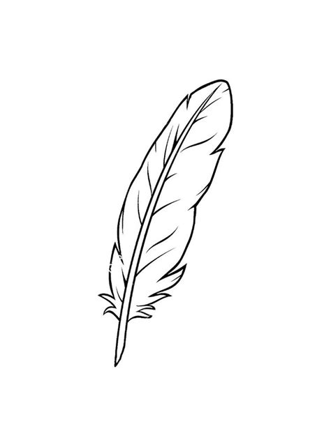 Feathers Coloring Pages Feather Template Feather Drawing Feather