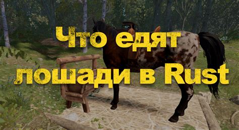 Что едят лошади в Раст
