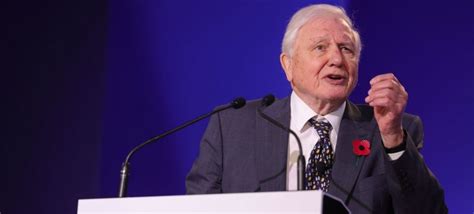 Earth champion David Attenborough bestowed Lifetime Achievement award ...