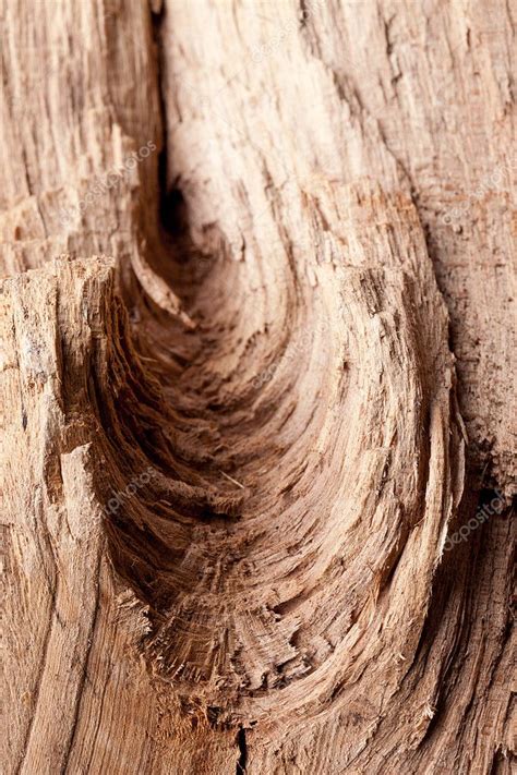 Natrur Baum Holz Struktur Textur Wald Brett Hintergrund Muster