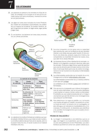 7 Los Seres Vivos Mas Sencillos 1 PDF