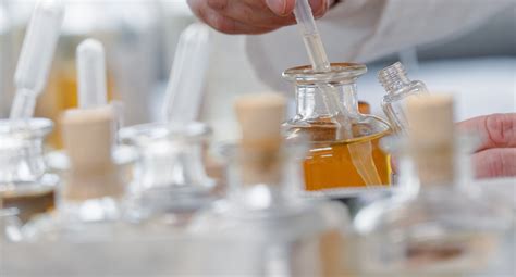 Surprising fragrance families you’ll fall in love with – The Perfume Studio