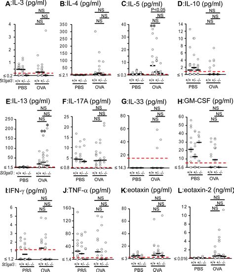 Mice Deficient In The St Gal Gene Product Sialyltransferase