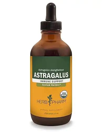 The Best Astragalus Supplement Complete Guide The Botanical