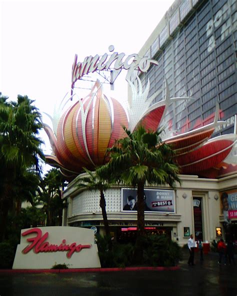 Flamingo, Las Vegas, NV, photo taken December 15, 2012. | Las vegas ...