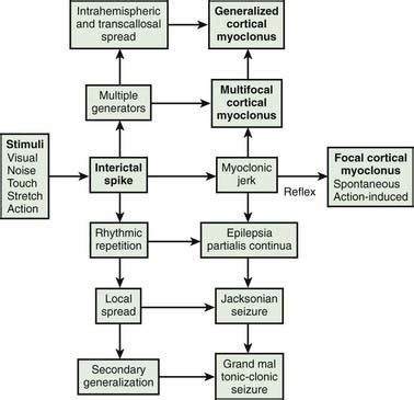 Myoclonus | Neupsy Key