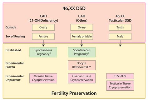 Ijms Free Full Text Disorders Of Sex Development—novel Regulators