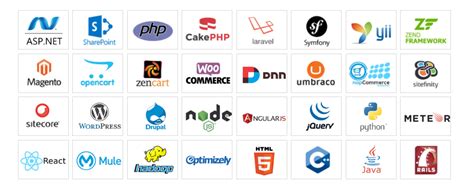 Best Web Development Frameworks