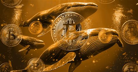 Bitcoin Whales Accumulate Over K Btc In Just Two Days