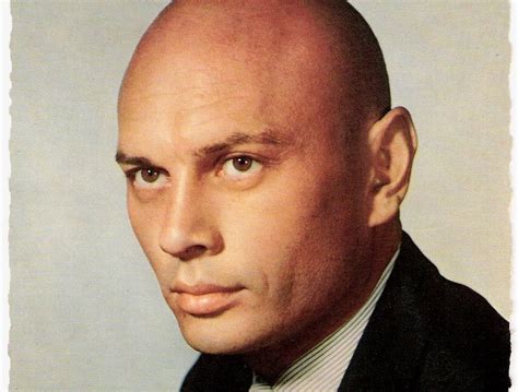 Suck It Yul Brynner Bald All Over