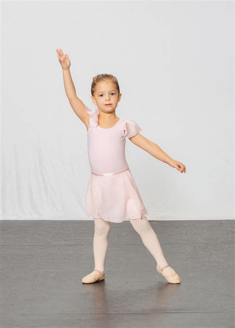 Dance Academy Bd 1 Taras Grosster Traum 1