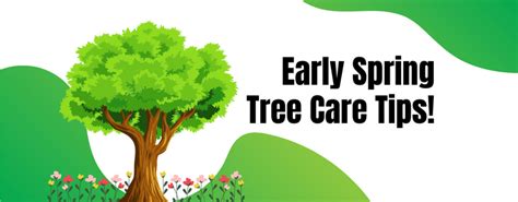 Early spring tree care tips!