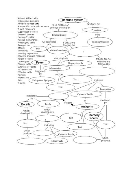 Cell Concept Map Worksheet Answers – Pro Worksheet