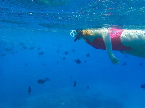 Floral Bikini In Maui