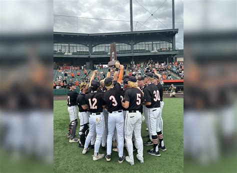 Crystal Lake Central Tigers take home IHSA 3A baseball title