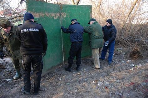 Legionowo B D Od Awia Dziki I Wywozi Je Na Mazury Gdzie Ustawione