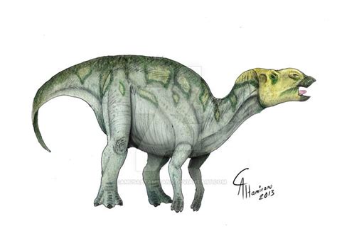 Hadrosaurus - Alchetron, The Free Social Encyclopedia