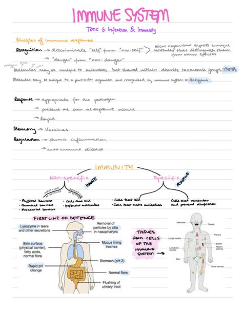 Molecular and Cellular Biomedicine on Immunology - NoteXchange