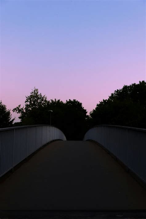 Black Metal Fence · Free Stock Photo