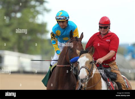 Hot Springs Arkansas USA 11th Apr 2015 American Pharoah With Jockey Victor Espinoza Aboard