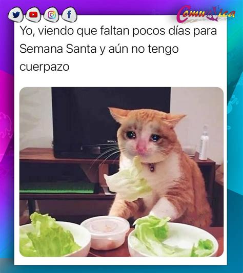 Los Mejores Memes De Semana Santa Para Compartir Por Whatsapp