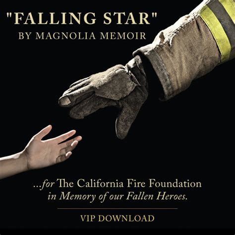 Falling Star | Magnolia Memoir - Mela Lee