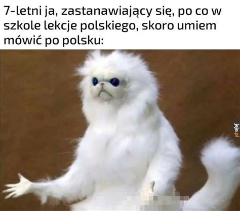 Memy O Szkole I Uczniach G Os Wielkopolski