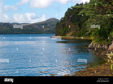 INVEREWE GARDENS HIGHLAND SCOTLAND UNITED KINGDOM Stock Photo - Alamy