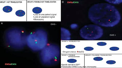 Scoring Scheme Of Distribution On Fluorescence In Situ Hybridization